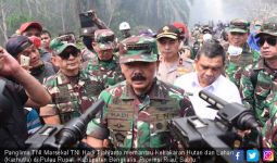 Panglima TNI Siapkan Dua Strategi Memadamkan Kathutla di Pulau Rupat - JPNN.com