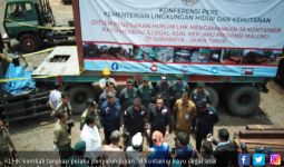 KLHK Tangkap Selundupan 38 Kontainer Kayu Ilegal dari Kepulauan Aru   - JPNN.com