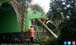 Pohon Tumbang Hancurkan Ruang Kelas di Sekolah - JPNN.com