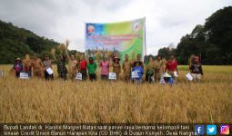 Bupati Karolin Minta Petani Jauhi Tengkulak - JPNN.com