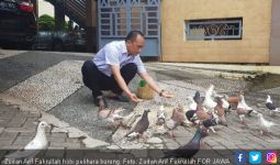 Zudan Arif Fakrullah Kerap Jalan - jalan ke Pasar Burung - JPNN.com