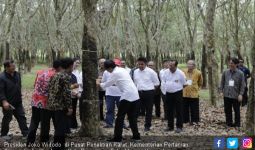 Jokowi : Harga Karet Sudah Mulai Membaik - JPNN.com