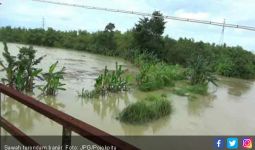Banjir Sapu 121 Hektar Sawah Milik Warga - JPNN.com