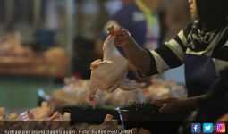 Harga Ayam Potong Maksimal Rp 45 Ribu Per Kilogram - JPNN.com