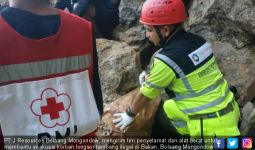 Berita Terbaru Seputar Evakuasi Korban Longsor Penambang Emas - JPNN.com