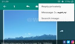 WhatsApp Siapkan Fitur Anyar yang Bisa Deteksi Gambar Palsu - JPNN.com
