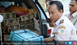 Penyeludupan Ratusan Ekor Burung dari Riau Berhasil Digagalkan - JPNN.com