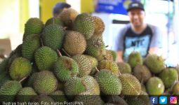 10 Manfaat Durian, Terakhir Cocok Buat Pengantin Baru - JPNN.com