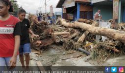 Update Banjir Sentani: 50 Orang Meninggal, 2 Pesawat Terbang Rusak - JPNN.com