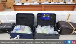 Penyelundupan Benih Lobster Rp19 miliar Berhasil Digagalkan di Bandara - JPNN.com