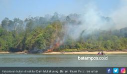 Hutan Lindung Duriangkang Dibakar, Pelaku Diduga Pembalak Liar - JPNN.com