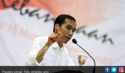 Jokowi Sentil Sengketa Lahan di Riau saat Rapat Kabinet - JPNN.com