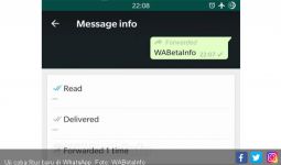 WhatsApp Uji Fitur Informasi Pesan Terusan - JPNN.com