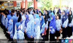 Honorer K2 Malut Tolak PPPK, Said: Jatah Kami PNS! - JPNN.com