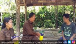 Ribuan Lalat Serbu Puluhan Rumah Warga Paksebali Klungkung - JPNN.com