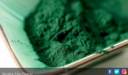 Pengguna Spirulina Perlu Baca Informasi Ini - JPNN.com