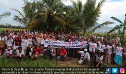 Pilih yang Peduli Rakyat Kecil, Petani Serang Dukung Jokowi - KH Ma'ruf Amin - JPNN.com