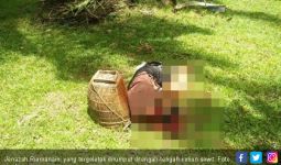 Warga Talang Padang Ditemukan Tewas Besimbah Darah, Leher Hampir Putus - JPNN.com