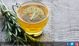 8 Herbal Ini Ampuh Turunkan Berat Badan Tanpa Efek Samping - JPNN.com
