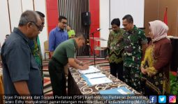 Kementan-TNI Ciptakan 200 Ribu Hektare Sawah Baru pada 2015-2018 - JPNN.com