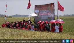 Panen Raya Padi MSP, Megawati Dukung Penelitian di Sektor Pangan - JPNN.com