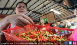 Harga Bahan Pokok Terus Merangkak Naik Jelang Ramadan - JPNN.com