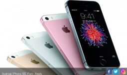 Apple Setop Penjualan iPhone SE, iPhone 6 Series di India, Ini Alasannya! - JPNN.com