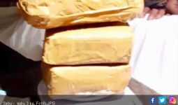 Polda Gagalkan Penyelundupan 3 Kilogram Sabu - Sabu dari Malaysia - JPNN.com