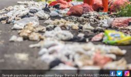 Sampah Popok Cemari Sungai Brantas, Ikan jadi Berkelamin Ganda - JPNN.com