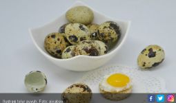 10 Manfaat Telur Puyuh, Nomor 7 Penting! - JPNN.com