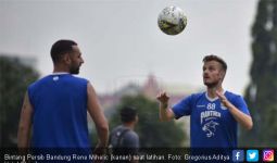 Persib vs Kalteng Putra: Rene Alberts Pusing, Gomes De Olivera Pasrah - JPNN.com