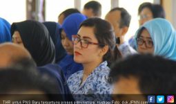Informasi Penting soal THR bagi PNS Baru Hasil Seleksi 2018 - JPNN.com