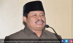 Bupati Bengkalis Jadi Tersangka Korupsi, LAM Riau Bilang Begini - JPNN.com