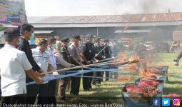 Ucapkan Selamat Tinggal pada 73 Ton Bawang Merah yang Dibakar Habis Ini - JPNN.com