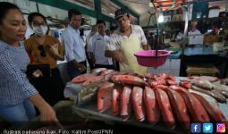 Stok Ikan Aman, Harga Tidak Akan Melonjak - JPNN.com