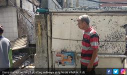 Warung Kelontong Usma Dibakar, Barang Dagangan Dijarah Perusuh - JPNN.com
