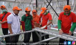 BLK Lembang Menciptakan Otomatisasi untuk Pertanian Hidroponik - JPNN.com