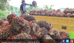 Indonesia Gugat Eropa ke WTO Terkait Perlakuan Diskriminatif - JPNN.com