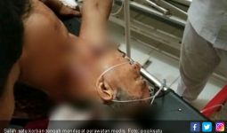 Dua Warga Diterkam Harimau Sumatera, Satu Tewas, Satu Terluka Parah - JPNN.com