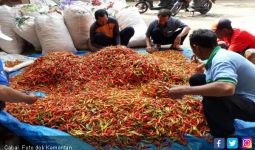 Harga Bahan Pokok: Bawang Putih Rp 40 Ribu, Cabai Rp 30 Ribu per Kg . - JPNN.com