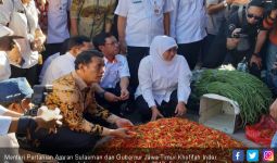 Toko Tani Indonesia Respons Cepat Stabilkan Harga Cabai - JPNN.com
