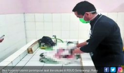 Penemuan Mayat Bayi dalam Kardus Bikin Geger Warga Parungkuda - JPNN.com