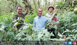BKP Kementan Dorong Pengembangan Korporasi Usaha Tani di Gianyar Bali - JPNN.com