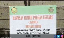 KRPL Harus Berkelanjutan Untuk Kebutuhan Rumah Tangga - JPNN.com