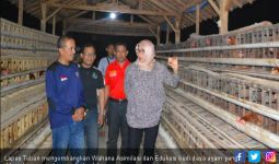 Warga Binaan di Lapas Tuban Diajarkan Budi Daya Lele dan Ayam - JPNN.com
