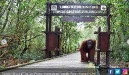 KLHK Harapkan Taman Nasional Bisa Jadi Badan Layanan Umum - JPNN.com