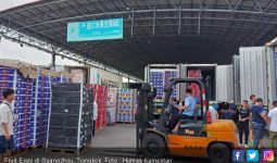 Indonesia Optimistis Ekspor Hortikultura ke Tiongkok Naik 200 - 300 Persen - JPNN.com