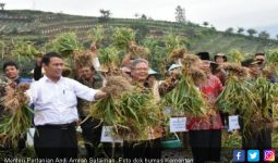 Para Akademisi Beri Apresiasi Capaian Pertanian Indonesia Selama 5 Tahun Terakhir - JPNN.com