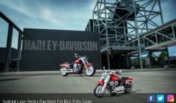 LEGO Meluncurkan Model Harley Davidson Fat Boy - JPNN.com