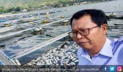 Akibat Semburan Belerang dari Danau, Ribuan Ikan Mati - JPNN.com